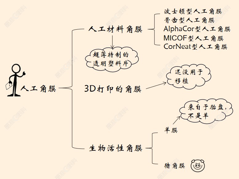 人工眼角膜手术多少钱www.ji-zhun.com