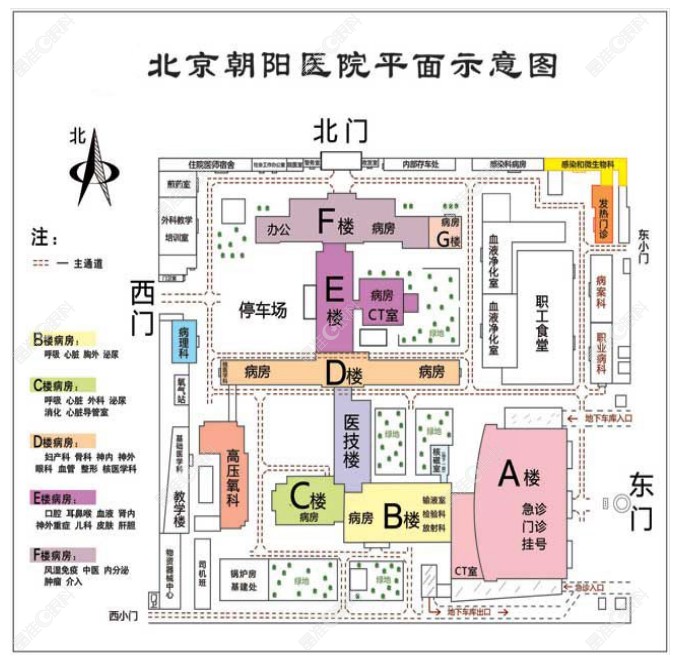 北京朝阳医院平面图