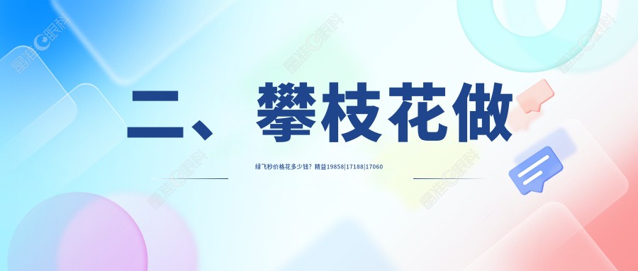 二、攀枝花做绿飞秒价格花多少钱？精益19858|17188|17060