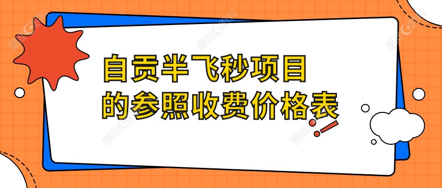 自贡半飞秒项目的参照收费价格表