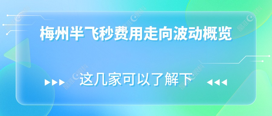 梅州半飞秒费用走向波动概览