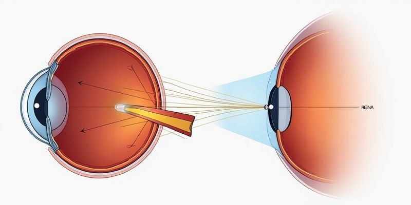 厦门爱尔眼科全飞秒