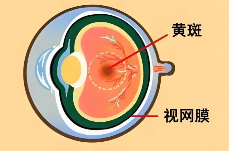 一、昆明视网膜脱落治医院那个好?急救硬实力:设备与通道双确保,抢占黄金时间